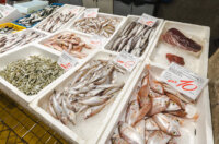 Ribarnica 11.3.-2448