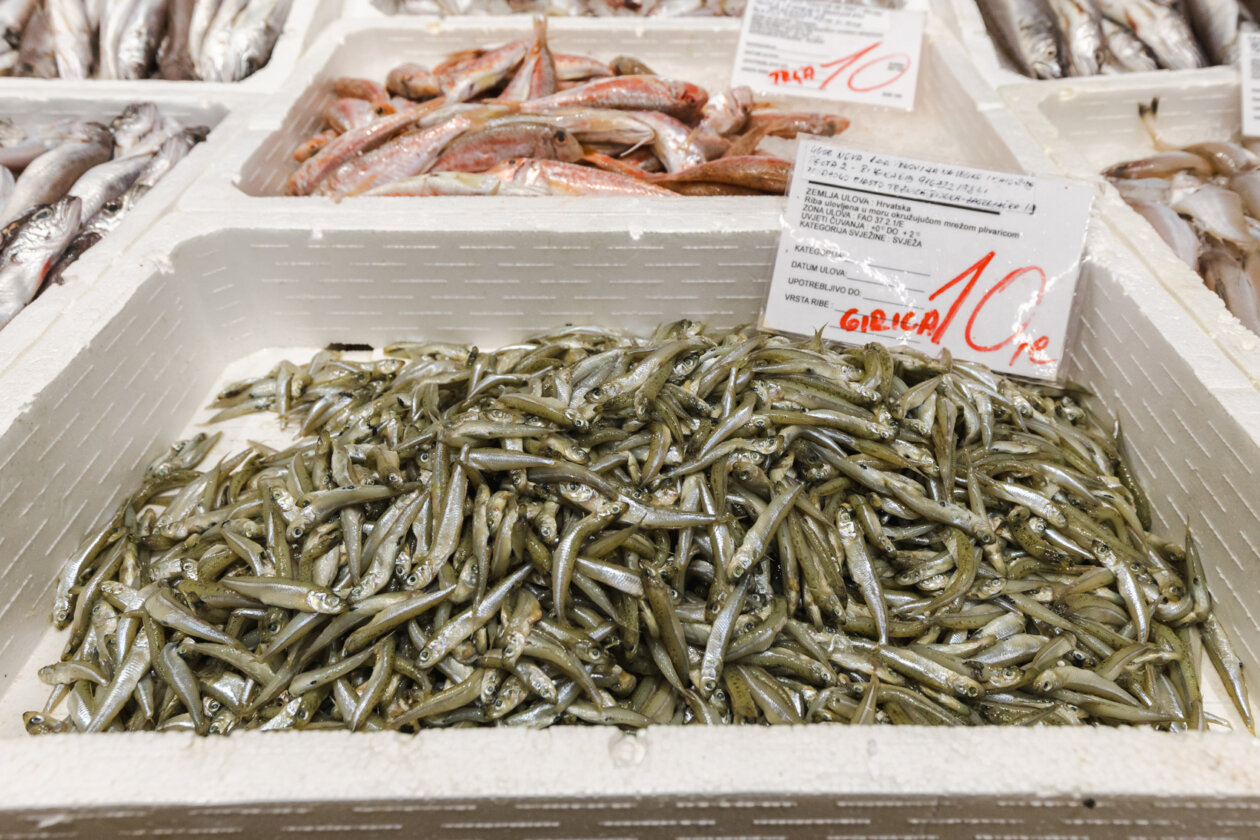 Ribarnica 11.3.-2449