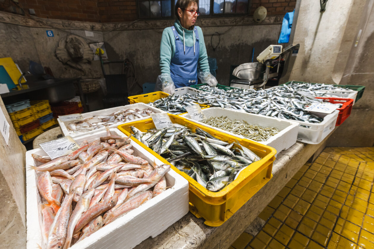 Ribarnica 11.3.-2454