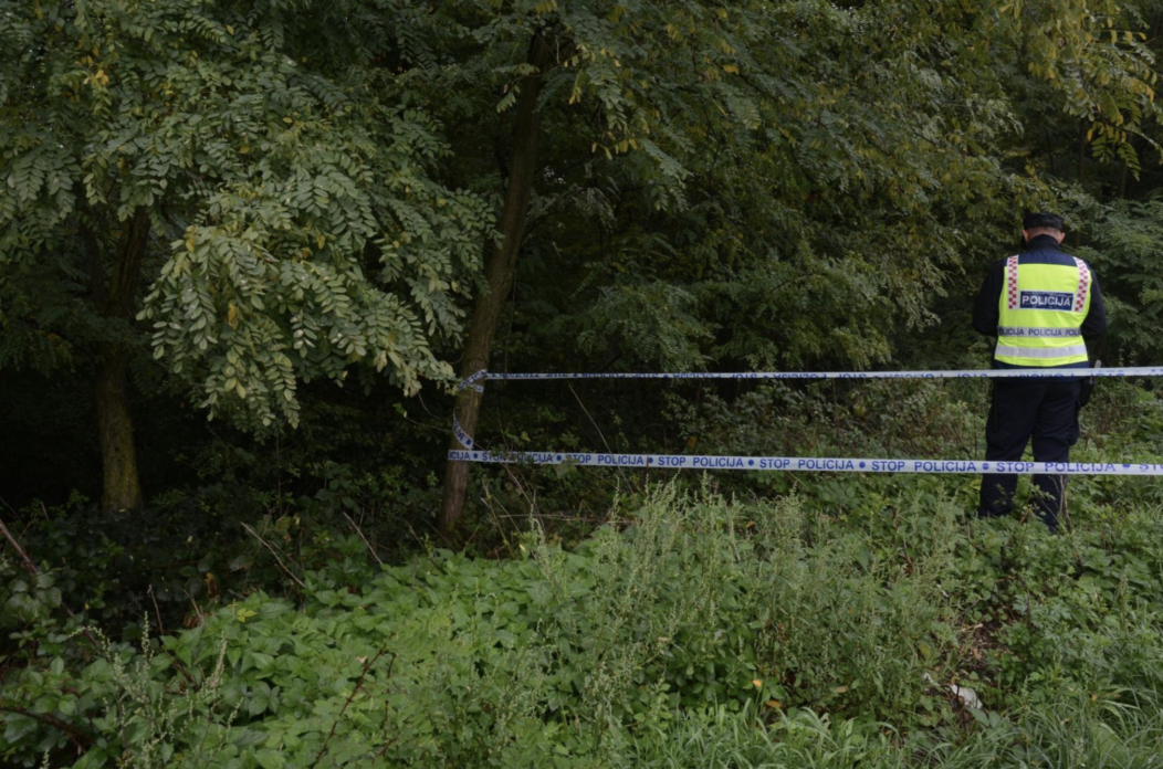 Screenshot 2026-03-11 at 13.00.10