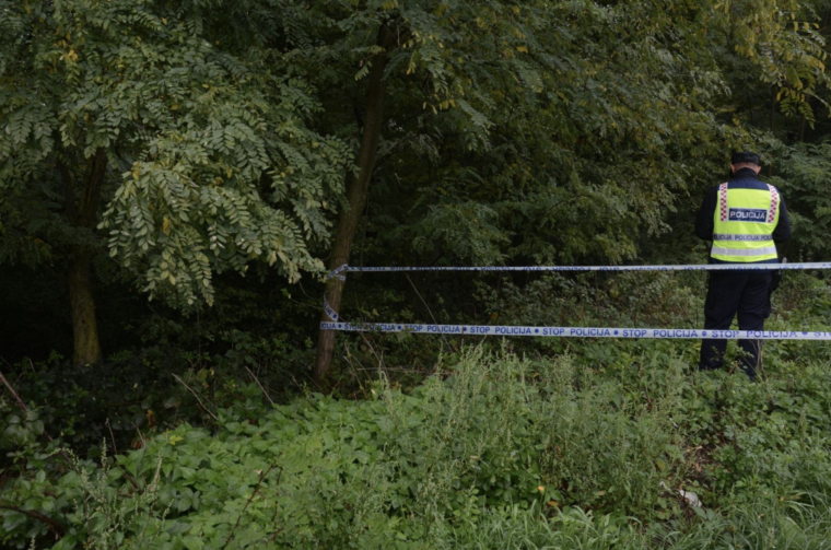 Screenshot 2026-03-11 at 13.00.10