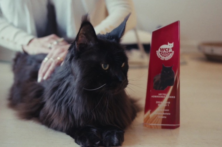 Snimka zaslona 2026-03-17 142835