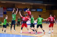 Zamet – Spačva (4)