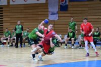 Zamet – Spačva (5)