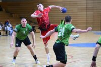 Zamet – Spačva (9)