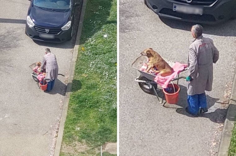 d18ab4f9-103f-4c7f-ae5f-a495aaf711cd