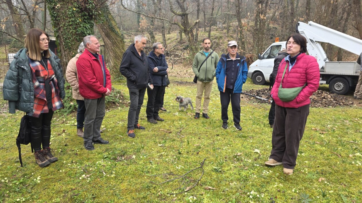 kesten opatija (1) kesten opatija (1)