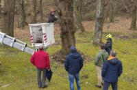 kesten opatija (2) kesten opatija (2)