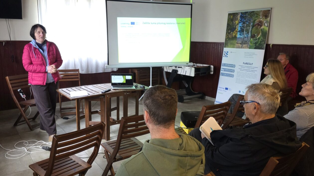 kesten opatija (5) kesten opatija (5)