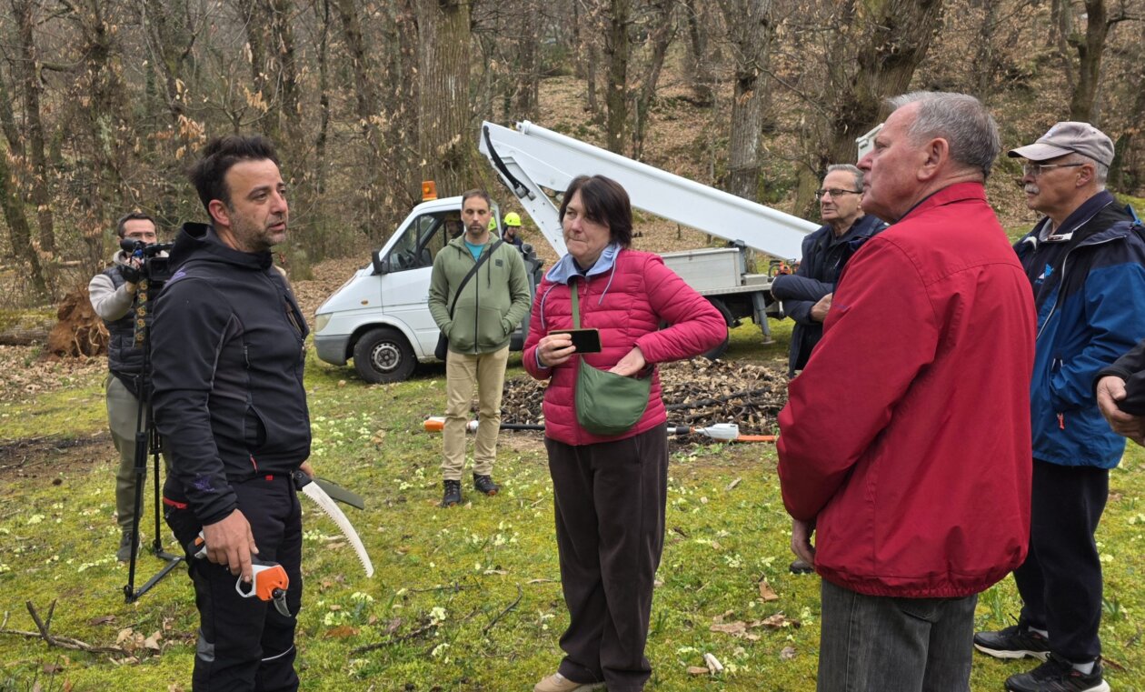 kesten opatija (8) kesten opatija (8)