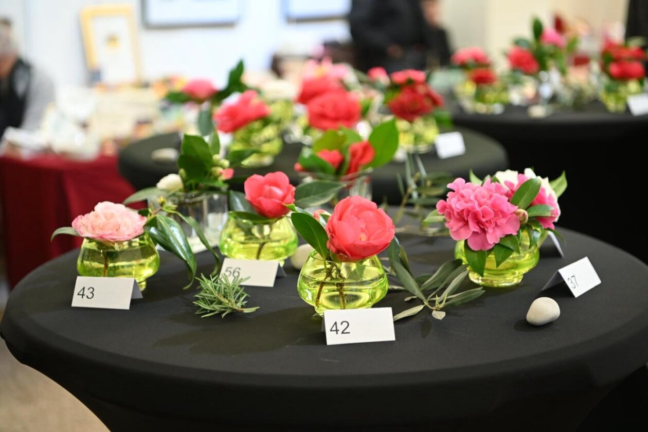 opatija festival kamelija 2026 13 opatija festival kamelija 2026 13