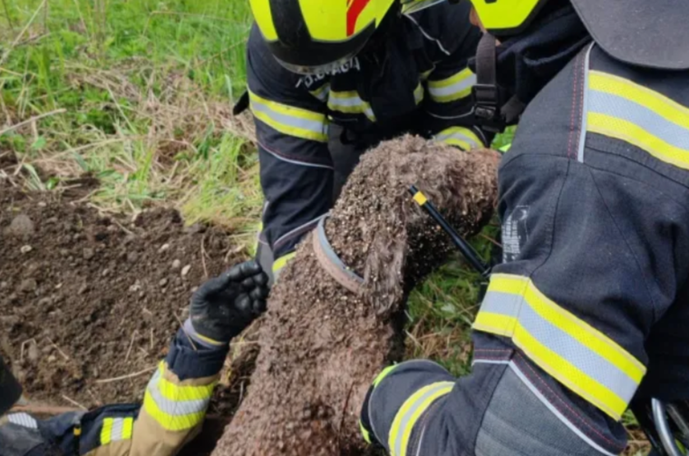 pas šaht vatrogasci