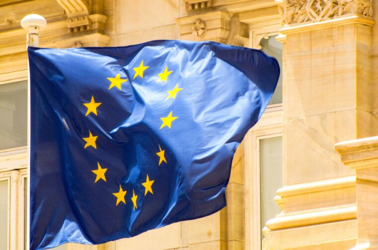 pexels-lammycz-36279694