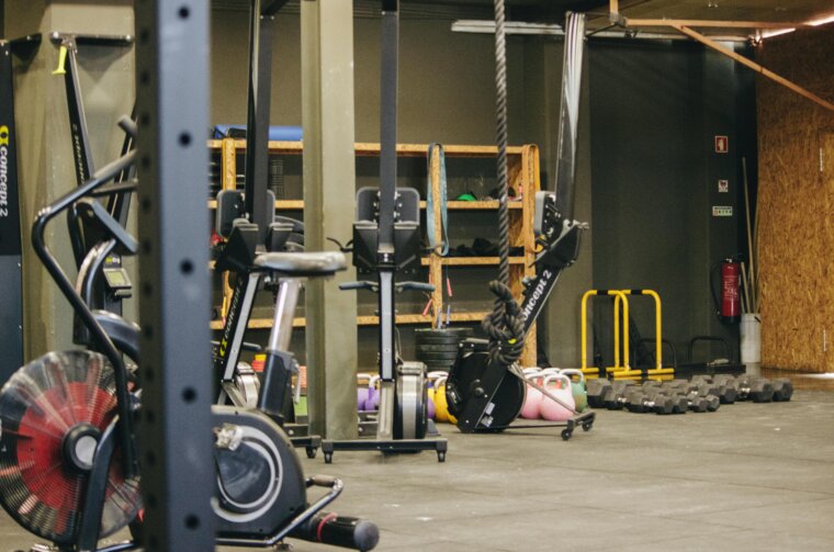 pexels-tubarones-9545909