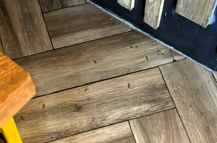 žohari submarine naslovna