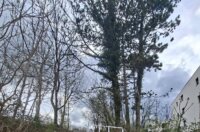 669578627_1536529625151616_6750196187546731239_n 669578627_1536529625151616_6750196187546731239_n