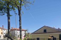 669917573_1536529515151627_3862265680530320570_n 669917573_1536529515151627_3862265680530320570_n