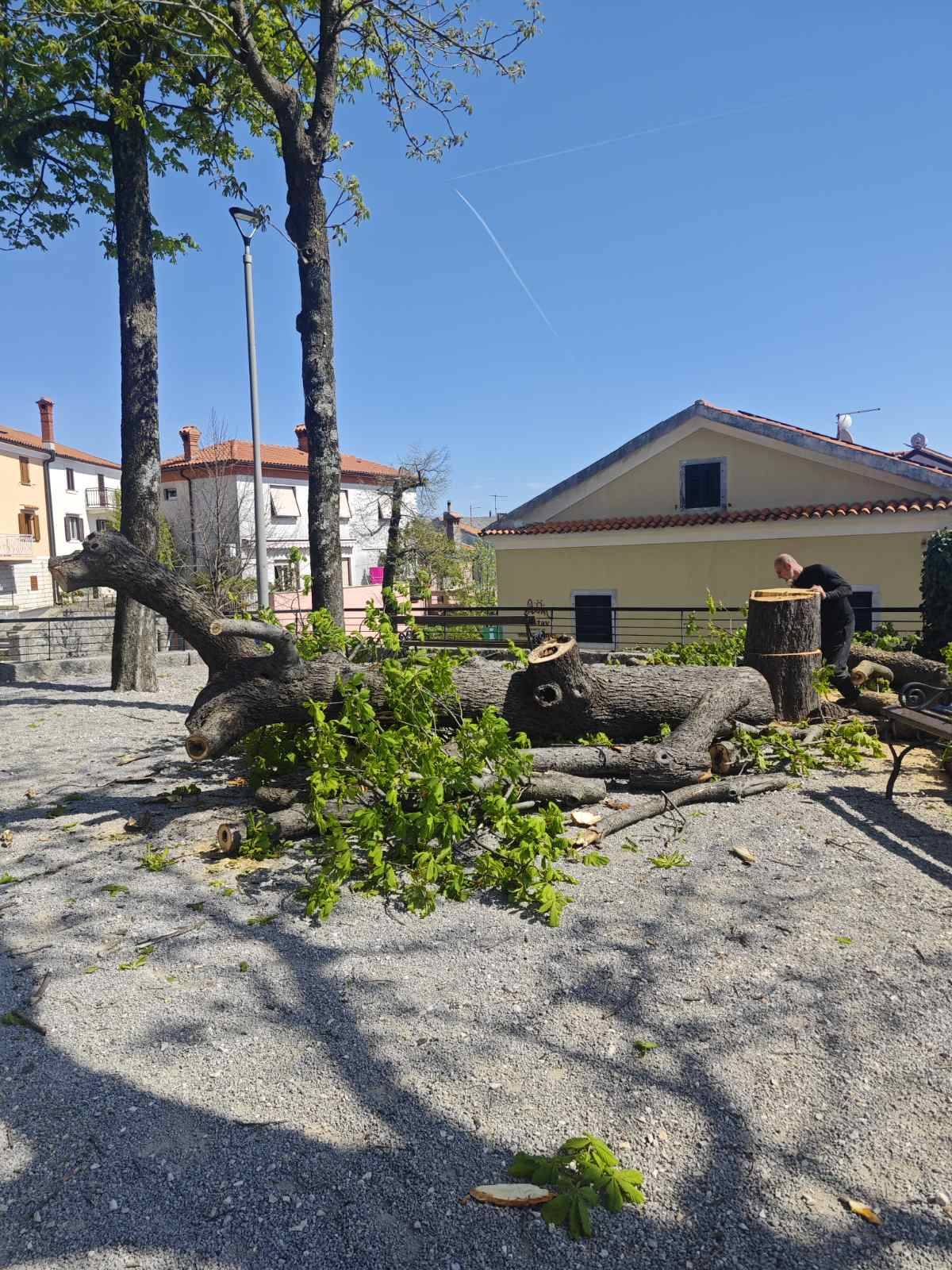 669917573_1536529515151627_3862265680530320570_n 669917573_1536529515151627_3862265680530320570_n