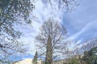 670330279_1536529261818319_4615179096888953007_n 670330279_1536529261818319_4615179096888953007_n