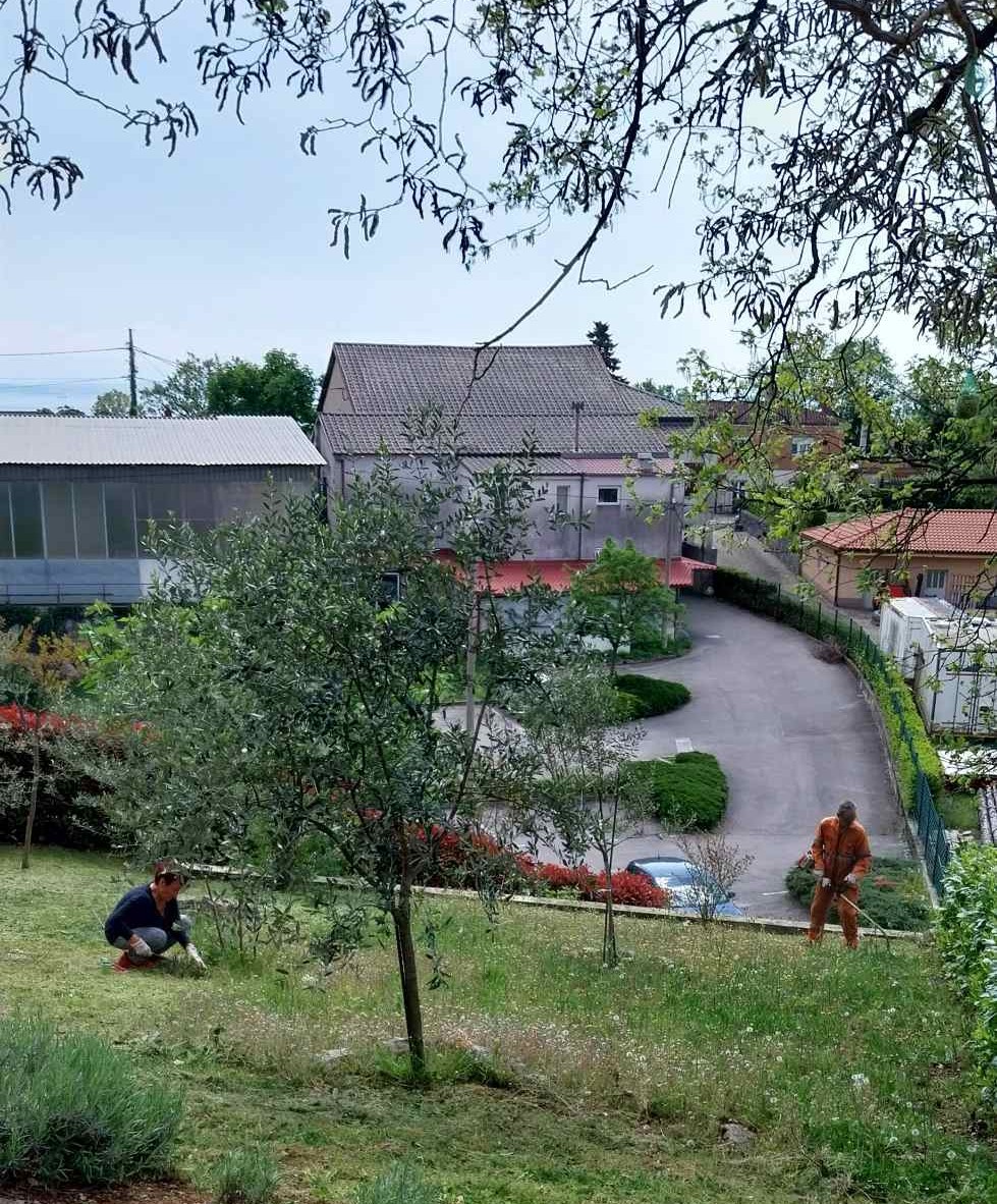 675883640_1376842361156154_3090664131111650137_n