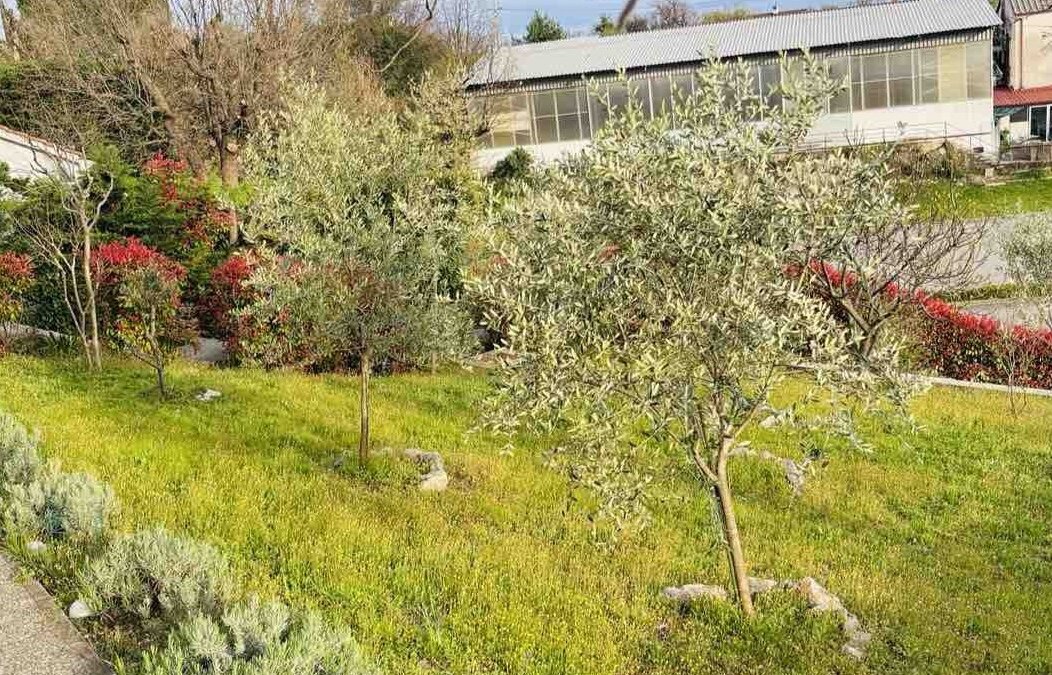 684163998_1384662273707496_5068926161040402375_n