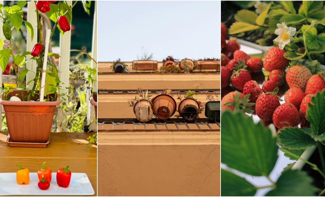 BeFunky-collage (12)