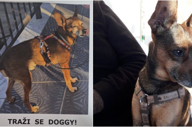 BeFunky-collage (19)