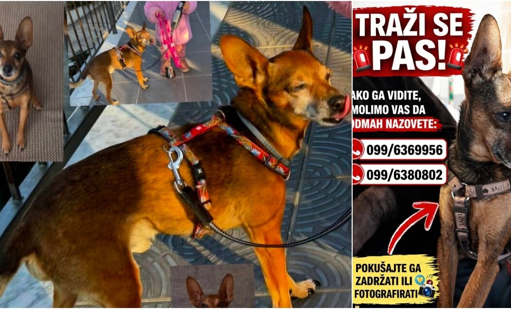 BeFunky-collage (24) BeFunky-collage (24)