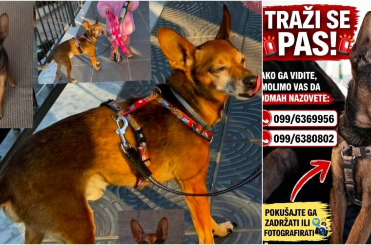 BeFunky-collage (24) BeFunky-collage (24)