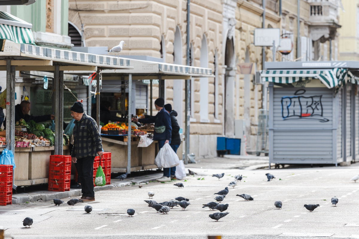 Bura vjetar-6575 Bura vjetar-6575