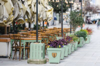 Bura vjetar-6596 Bura vjetar-6596