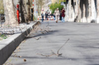 Bura vjetar-6714 Bura vjetar-6714