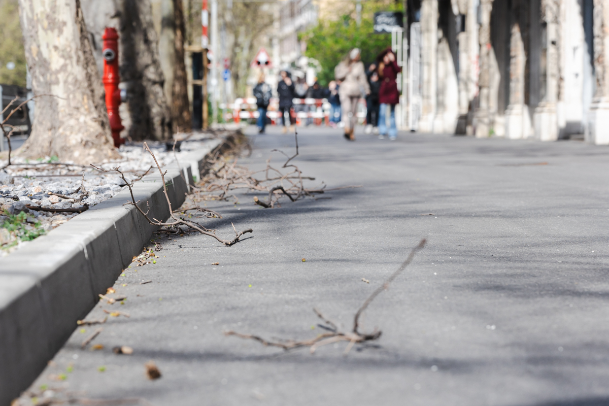 Bura vjetar-6714 Bura vjetar-6714