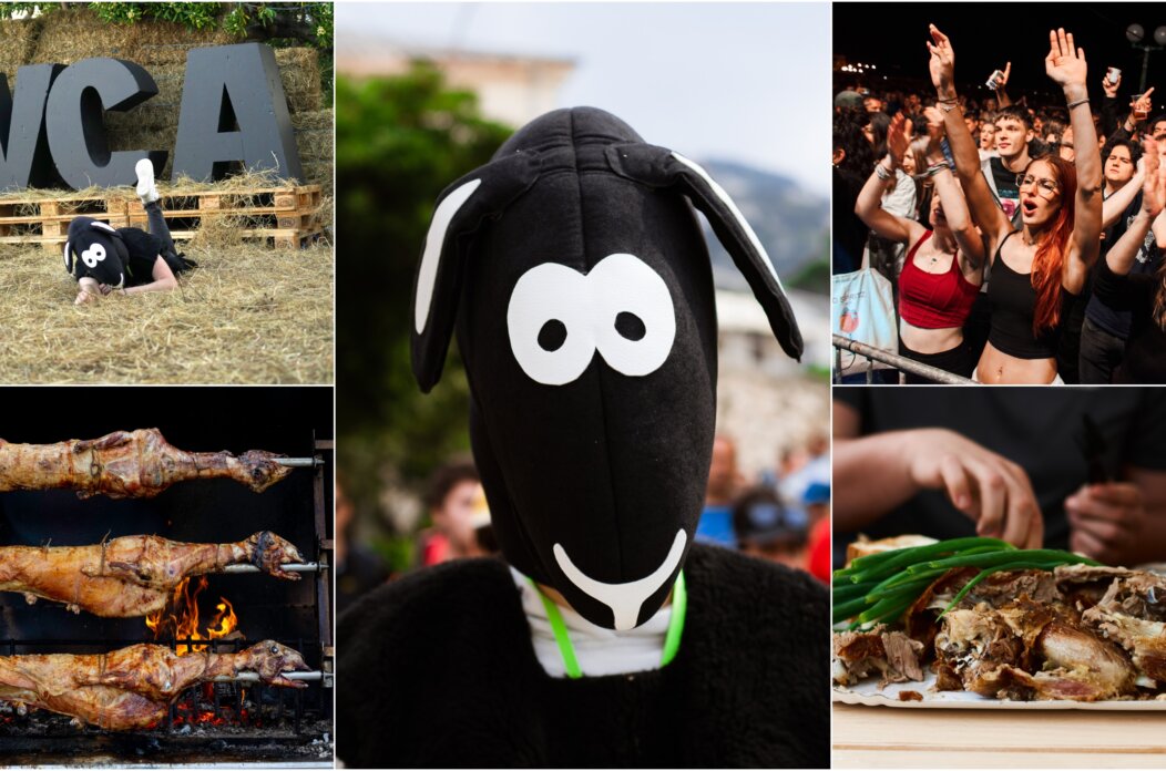 CRNA OVCA 2026 NAJAVA