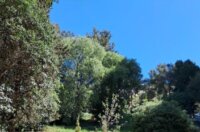 Ekoloska-akcija-u-MO-Turnic-10