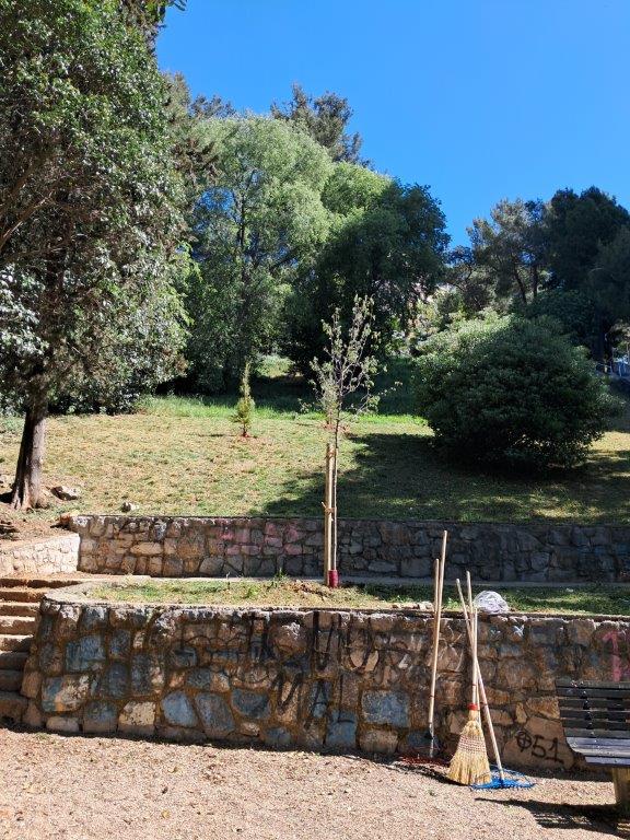 Ekoloska-akcija-u-MO-Turnic-10