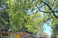 Ekoloska-akcija-u-MO-Turnic-2