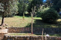 Ekoloska-akcija-u-MO-Turnic-3