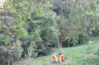 Ekoloska-akcija-u-MO-Turnic-4