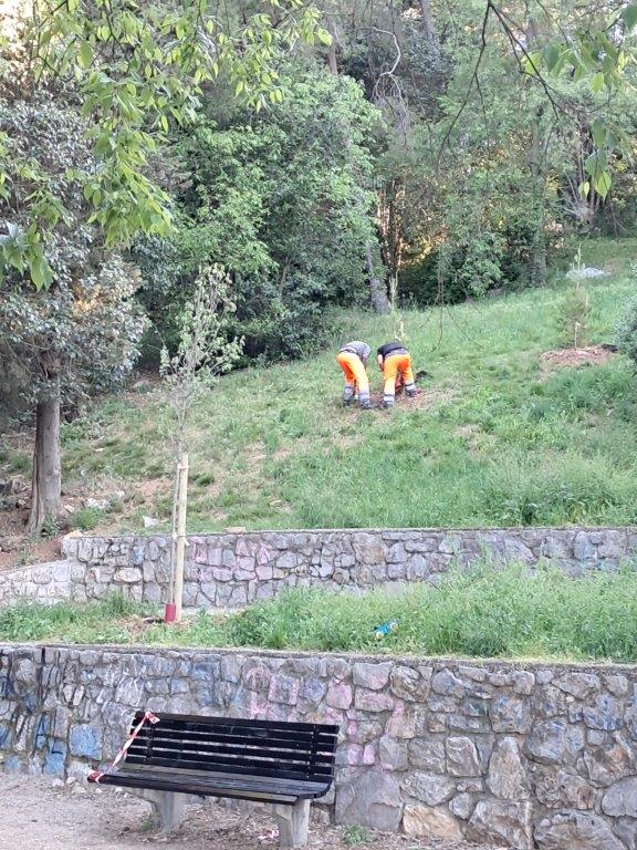 Ekoloska-akcija-u-MO-Turnic-4