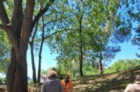 Ekoloska-akcija-u-MO-Turnic-7