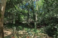 Ekoloska-akcija-u-MO-Turnic-9