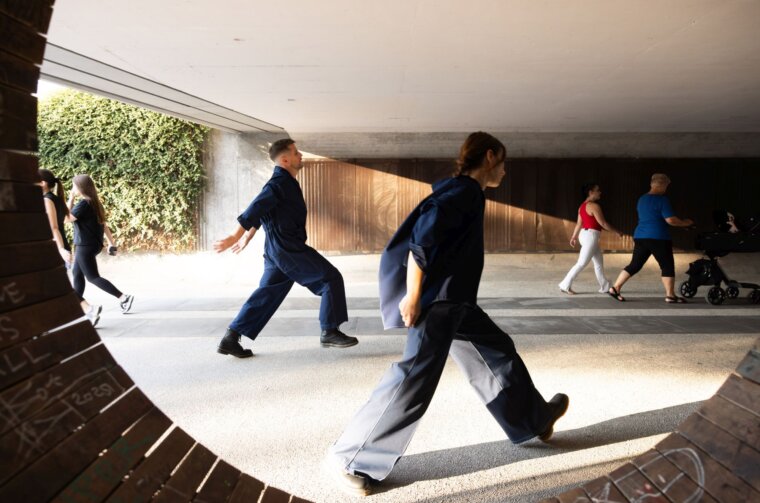 Galebovi rano lete (1)