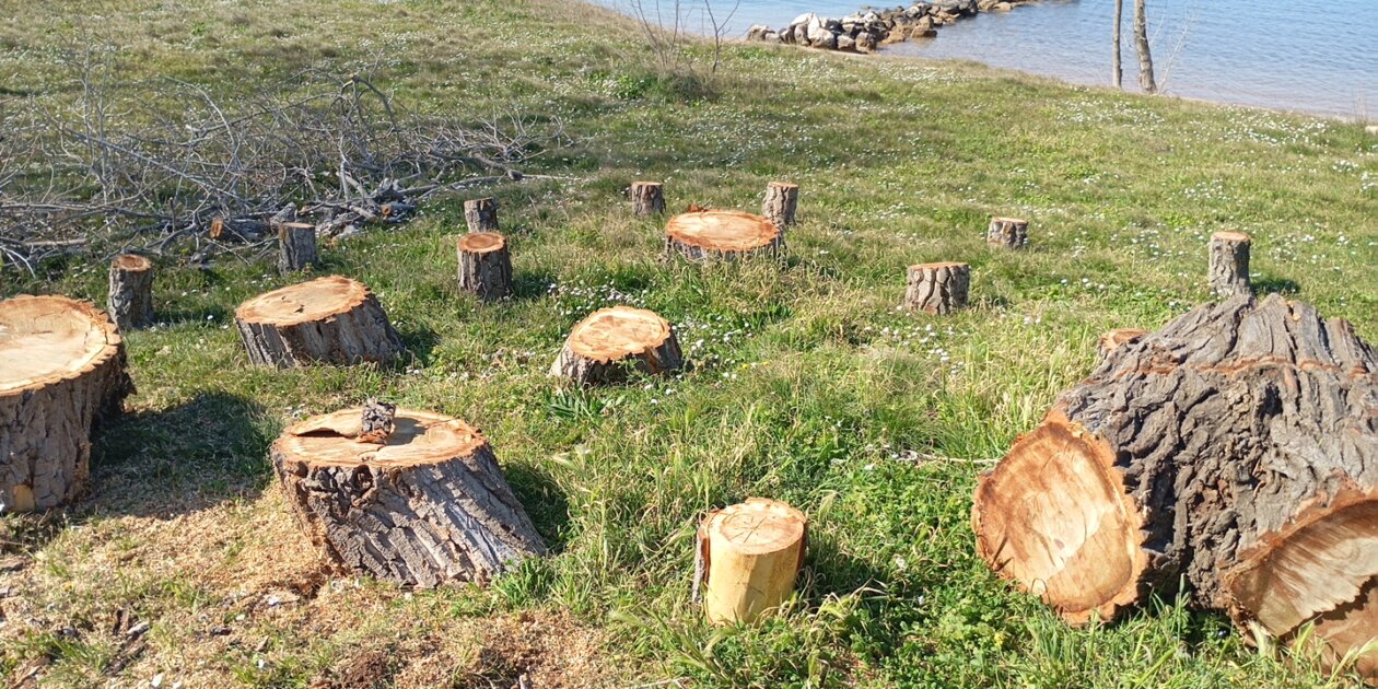 IMG-66c4d02c6fc16183667335eca031375a-V