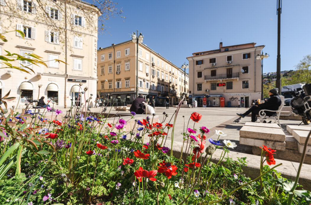 Ilustrativnac Jelačić-7602