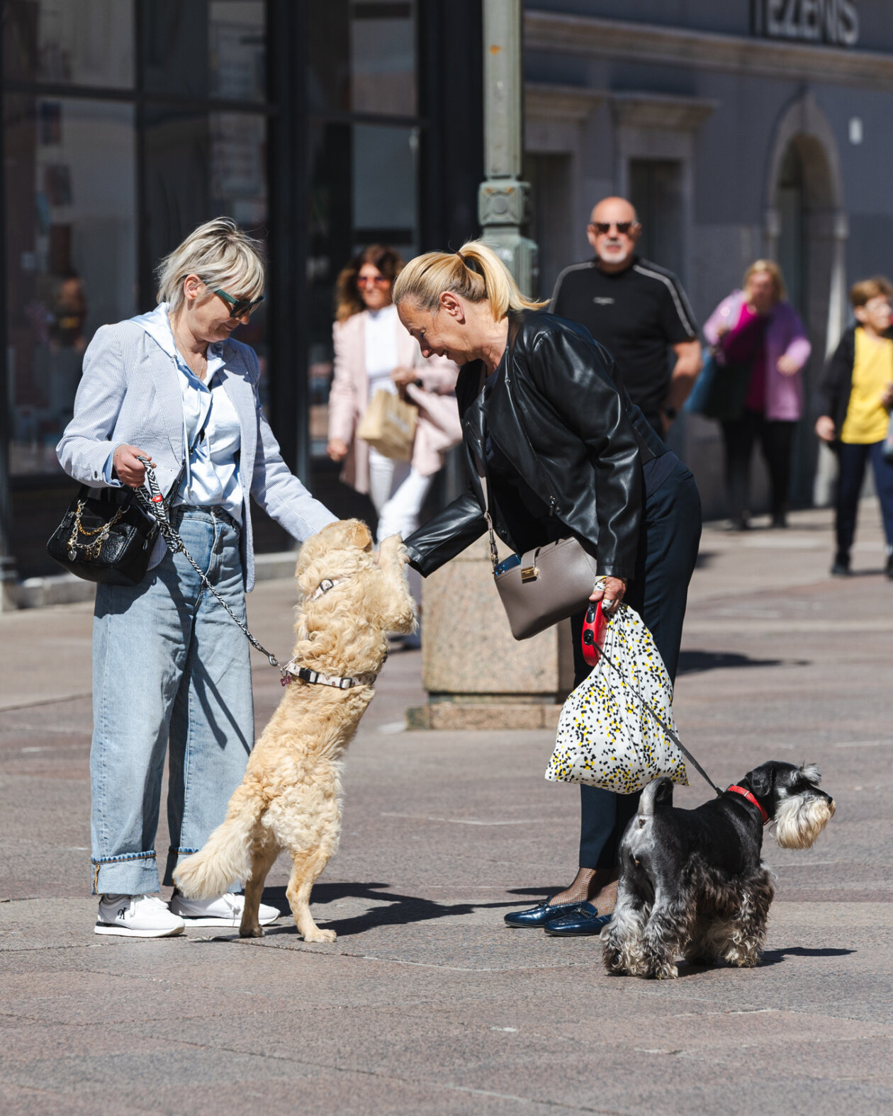 Klikom po Korzu 24.4.-2938