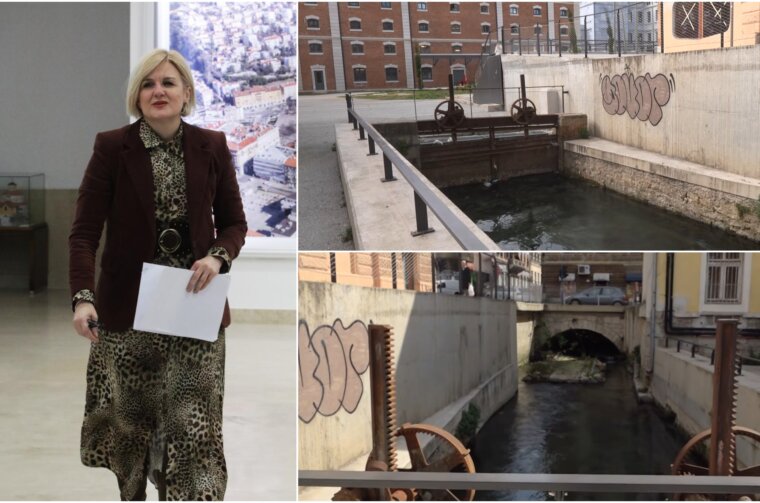 PERILO BRAJDA RINČIĆ