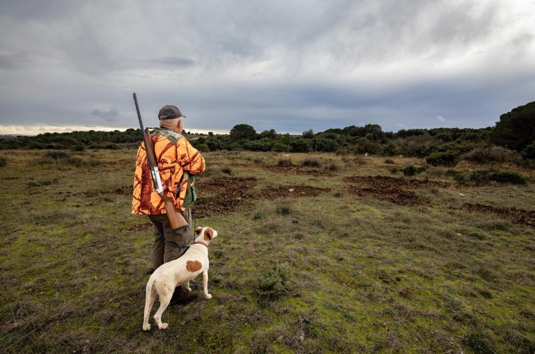 Lov na divlje svinje i čagljeve na području rta Kamenjak