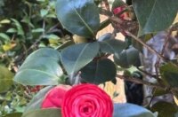 SOCRAT novo turisticko iskustvo Patija 27042026_6