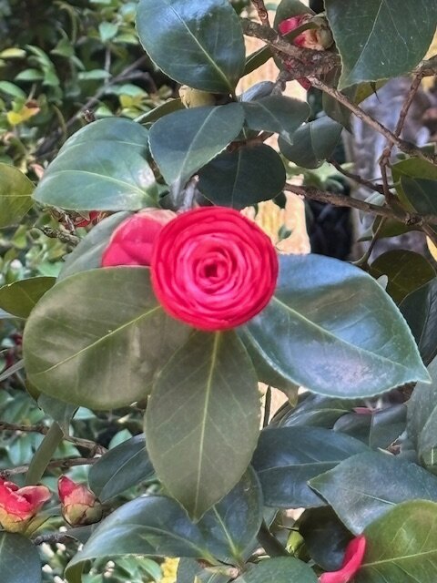 SOCRAT novo turisticko iskustvo Patija 27042026_6